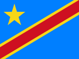 尼斯